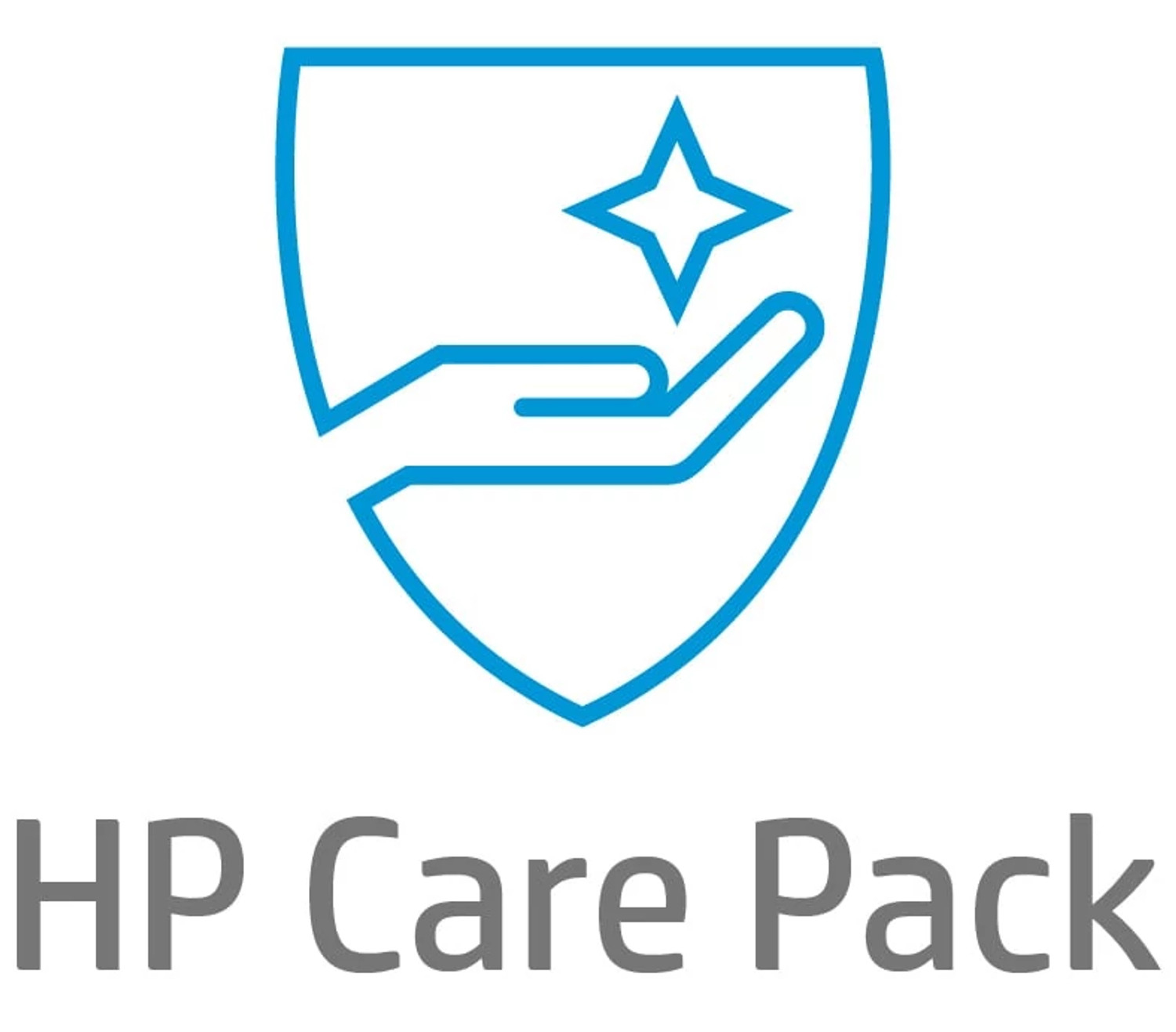 Support-Service mit Rückgabe für DesignJet (Low-End 24 Zoll)