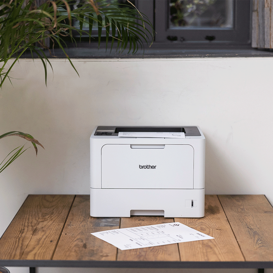 Brother HL-L5210DN Laser-Drucker 1200 x 1200 DPI A4